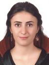 SEZEN TEKİN